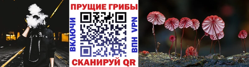гидра вход  Ак-Довурак  Галлюциногенные грибы ЛСД 